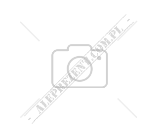 JEZUS PUKAJĄCY DO DRZWI VERONESE  (WU77306A4)