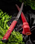 Selten Katana Schwert Gravierte Klinge Scharf Echt Zum Training Metall Stahl 1045 Samurai 100% Handarbeit nur für Erwachsene - 18 Jahre erforderlich DS044 - 7