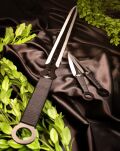 EIN Satz 1 Katana Ninja Schwert und 2 Wurfmesser scharf echt zum Training Metall Stahl Samurai Nur für Erwachsene 68 cm - 18 Jahre erforderlich FM-644D - 5