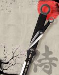 EIN Satz 1 Katana Ninja Schwert und 2 Wurfmesser scharf echt zum Training Metall Stahl Samurai Nur für Erwachsene 68 cm - 18 Jahre erforderlich FM-644D - 4