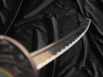 Katana Schwert Stark - Samurai Schwert aus Stahl - Hamon zum Training - Handgefertigt Katana Schwert Scharf Echt - Japanisches Sword Nur Fur Erwachsene - Katana Schwerter - Ninja Schwert (7KM5-410) - 13