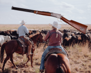 Silver Shotgun Winchester mit Kopf Bison (K1063-P) - 3