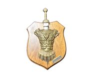 Panoplia rycerska z rzymskim gladiusem AG39/28.01 - 8