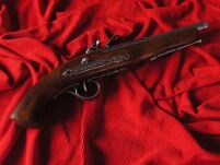 LONG GUN HISTORY Napoleonische Linke - 3