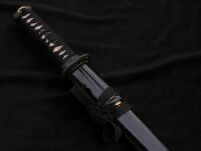 PROF TANTO DAMAST TRENINGOWE 6KM46-165BK - 14